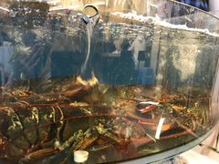 -渔中舟海鲜大排档(普陀沈家门店)