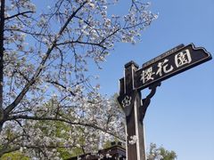 -神光山国家森林公园