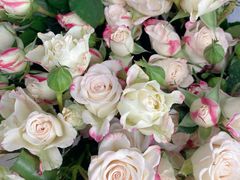 -循礼门鲜花花市(武汉循礼门店)