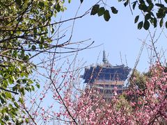 -杭州半山国家森林公园