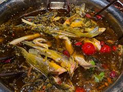 -青山青豆花·笑禅豆腐鱼(黄泥塝店)