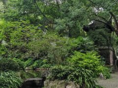 -忠山公园