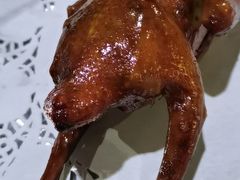 -石岐乳鸽村(南海第三分店)