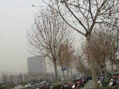 -市体育中心(地铁站)