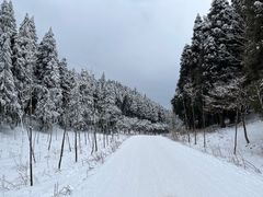 -武陵山森林公园