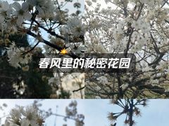 -两河城市森林公园