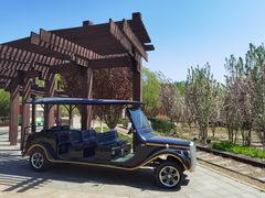 -永定河休闲森林公园