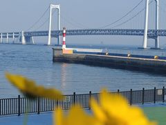 -星海广场
