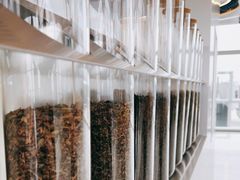 -喜茶(广州白云机场T2出发厅店)