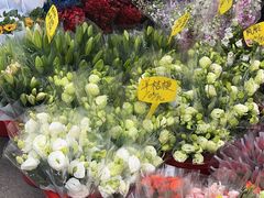 -循礼门鲜花花市(武汉循礼门店)