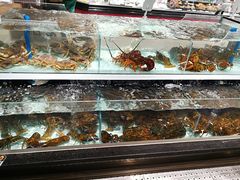 水产区-盒马鲜生(新都心店)