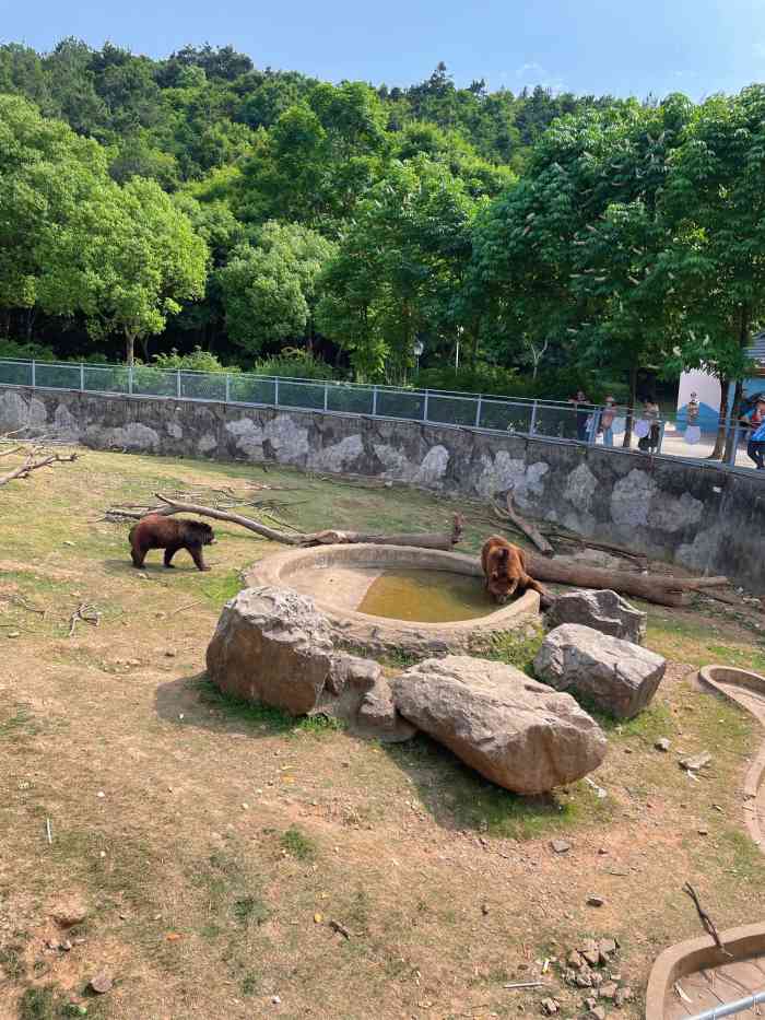 无锡动物园·太湖欢乐园-"春节期间去的,人非常多,排队买票的时候还.