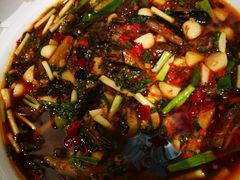 -院8里·小聚园老川菜(九眼桥店)