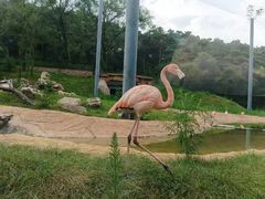 -沈阳森林动物园