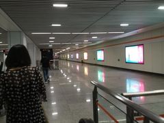 -杨高南路(地铁站)