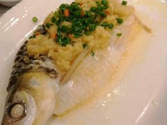 忘不了鱼-金城大酒店-中餐厅(汾江中路店)