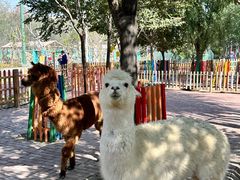 -水上乐园·欢乐世界