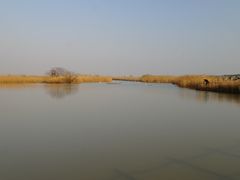 -盐城丹顶鹤湿地生态旅游区