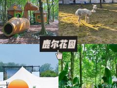 -老鼎万春卤菜(五代传承创始老店)