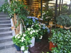 -泉乐坊步行街(烟酒特产平价超市店)