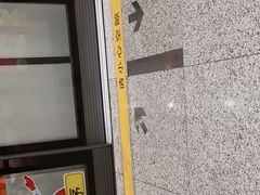 -杨高南路(地铁站)