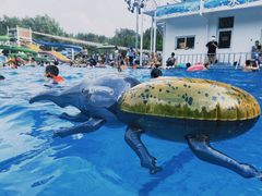 -青年湖公园水上世界