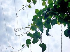 -天地生态农庄