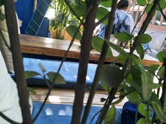 -Sirena海妖日咖夜酒