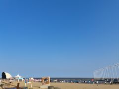 -碧海金沙
