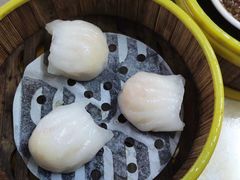 水晶虾饺-肥佬夜茶(早茶·西乡店)