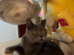 -觅时光手作·香薰·拼豆豆·陶艺DIY