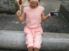 -黑色经典臭豆腐·湖南特产(太平街口店)