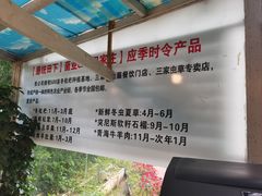 -蘑统田下·野生菌火锅