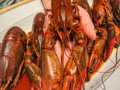 -新光酒家·河豚·海鲜·蟹料理(浦东店)