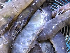 -聚盛源蒸汽海鲜火锅烤肉自助(巨川金海岸购物广场店)