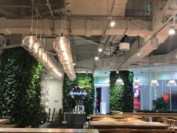 -悦诗风吟innisfree