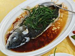 蒸皖鱼-金豪沙姜鸡饭店(昌平路店)