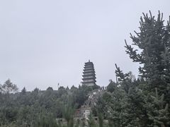 -雁门关景区