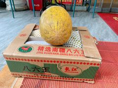 -新疆红柳花餐厅(新洲店)