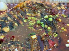 -鱼酷活鱼烤鱼(中联广场店)