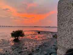 -宝安西湾红树林湿地公园