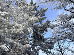 -崂山巨峰游览区