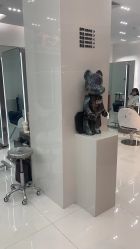点击看大图 -东方麒麟·潘多拉SALON