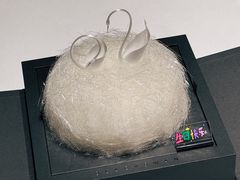 -BLACKSWAN黑天鹅(环球店)