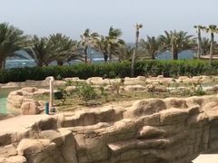 -亚特兰蒂斯水世界冒险乐园
