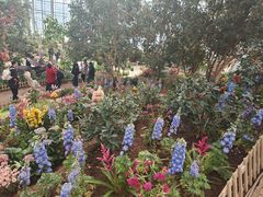 -沈阳植物园