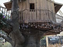 -杭州开元森泊度假乐园