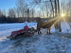 -北极村旅游风景区