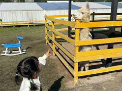 -宁波九龙湖开元度假村
