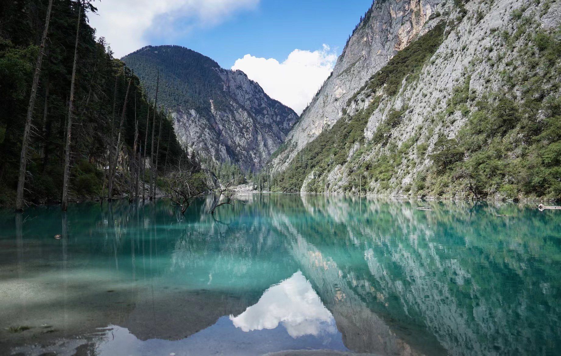 探秘生态奇观：玛嘉沟自然风景区